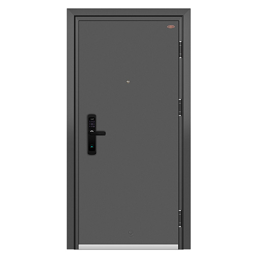 防盜門和防火門誰好(圖2) 防盜門.jpg